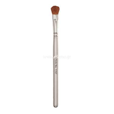 PROFESSIONAL EYE SHADOW APPLICATION BRUSH