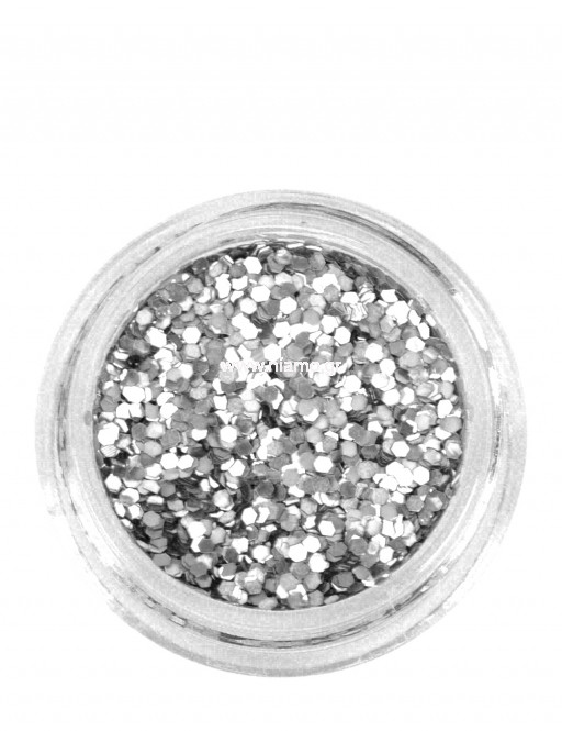 Nail Art Διακοσμητικά Νυχιών Ασημί Πούλιες 