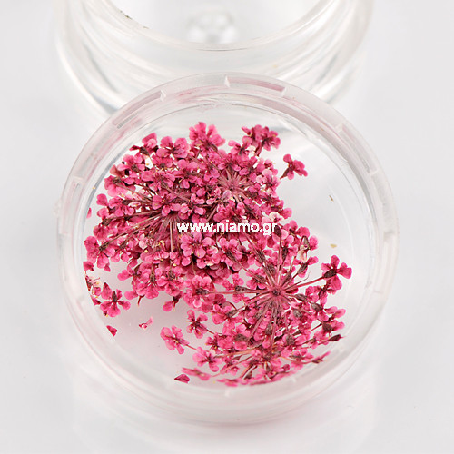 Αποξηραμένα Λουλούδια 