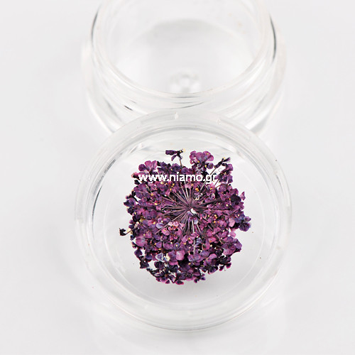 Αποξηραμένα Λουλούδια 