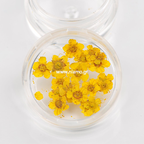 Αποξηραμένα Λουλούδια 