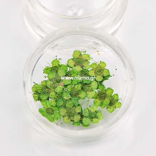 Αποξηραμένα Λουλούδια 