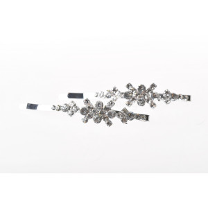 Τσιμπιδάκια Ζευγάρι Μεταλικά Με Στρας 