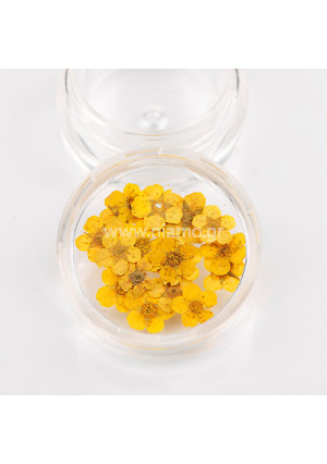 Αποξηραμένα Λουλούδια 