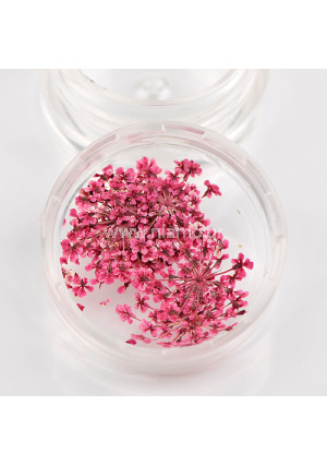 Αποξηραμένα Λουλούδια 