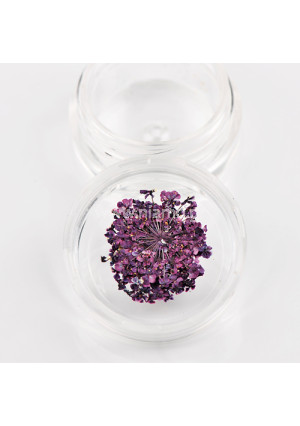 Αποξηραμένα Λουλούδια 