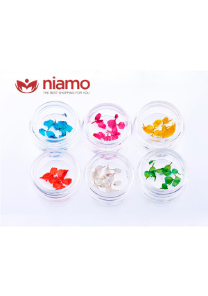 Αποξηραμένα Λουλούδια Set (6TEM)