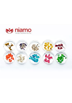 Αποξηραμένα Λουλούδια Set (10TEM)